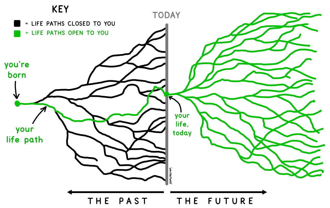 Life paths