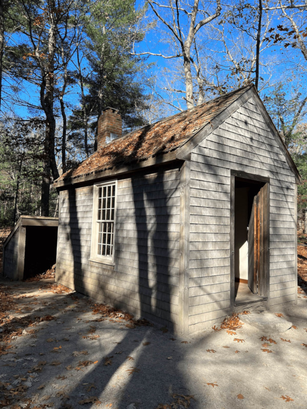 Thoreau's cabin