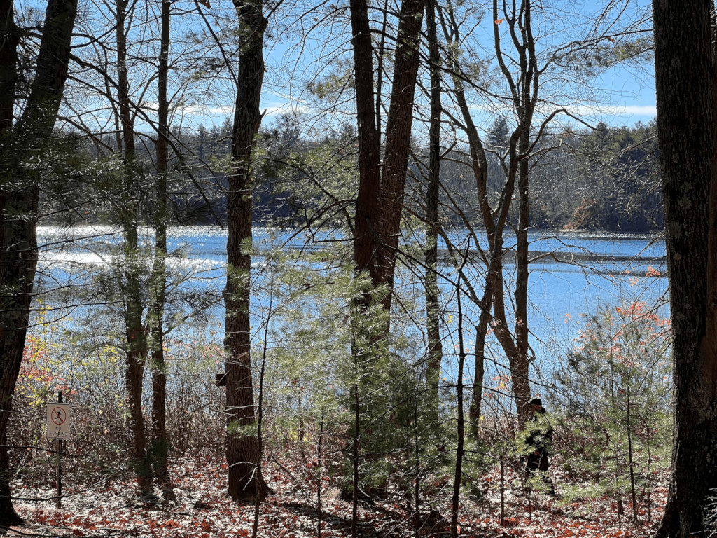Walden Pond