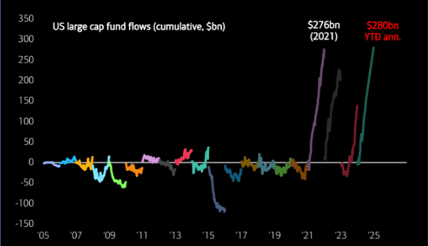 Large cap funds